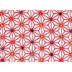 KIYOHARA ߂ vg |GXe100% 5m CM500 5174 |EnhChpi