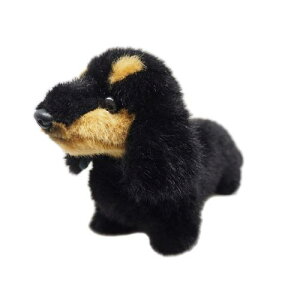 Opf OCXt Ck ({) _bNXthS ubN^  ʂ S26cm I-6860