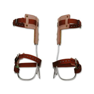 dH c(TSUYORON) zdHp@ zdHp@  FG-1-JAN-BX [S h~ dCH ł̈S]