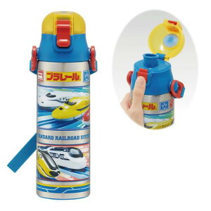 XP[^[(Skater) qp XeX   580ml v[ 24 qɗDyʃ^Cv j̎q ۗp waterbottle X|[c{g  LbY q ǂ r SDC6N-A