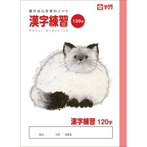 TNNpX wK K 120 NP55(10) 10