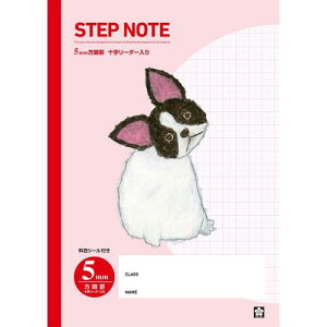 TNNpX wK Ē×SfUC 5mm t`uhbO 10 NG501(10)