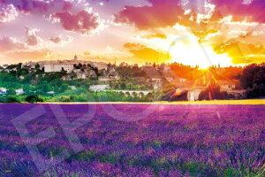 G|bN 2016x[X[s[X WO\[pY COi ԍv@X-tX (50×75cm) 22-105s ̂t wt _t EPOCH