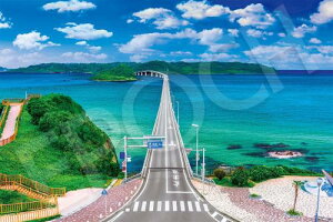 G|bN 1000s[X WO\[pY {i CƊp勴[R (50×75cm) 09-030s ̂t wt _t EPOCH