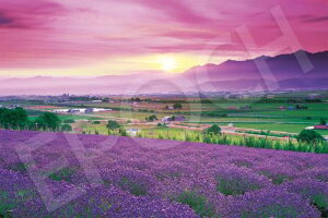 G|bN 1000s[X WO\[pY x_[F̕xǖ-kC (50x75cm) 09-052s ̂t wt _t EPOCH