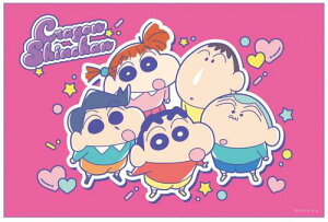 XP[^[(Skater) qp W[V[g  STCY 60×90cm N񂿂 25 VS1