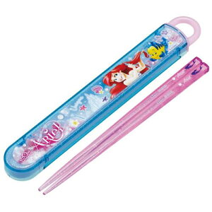 XP[^[(Skater) qp  Zbg 16.5cm qp ٓp RۉH j̎q ̎q J₷XCh { fBYj[ AG 24 ABS2AMAG