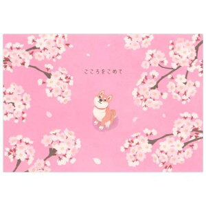 TI bZ[WJ[h w  ƎČ O[eBOJ[h COA JSG17-3 SANRIO 869236