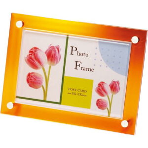 iJoV tHgt[iIWjJ[tHgt[ 2Lp t-TP-203-2L-O