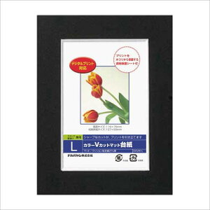 �i�J�o���V Digio�u�J���[V�J�b�g�}�b�g�䎆�v L�T�C�Y �u���b�N DGVM-L-D [�I�t�B�X�p�i]