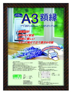 ナカバヤシ 額縁 賞状 金ラック(樹脂製) JIS A3判 フ-KWP-20 N