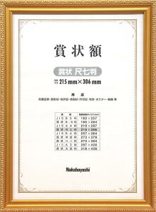 iJoV ؐ܏z PV ܏ ڎ t-KW-203-H [ItBXpi]