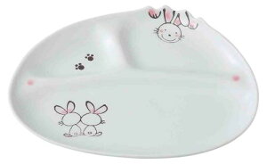 C g dؕt ~jv[g  22.5cm 60238