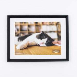 ナカバヤシ 木製写真額 A4判 ブラック F-SW-121-D