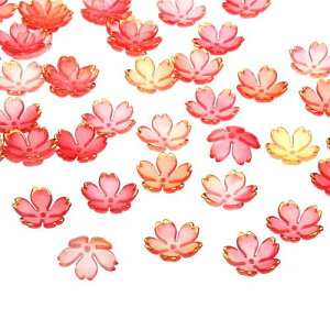 PATIKIL t[Xy[T[r[Y 100 FbL 5ԂтOf[VAN̉ԃr[Y uXbg CO lbNX ΃CLO DIYNtgp ԉFOf[V