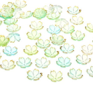 PATIKIL t[Xy[T[r[Y 100 FbL 5̉ԂтOf[VAN̉ԃr[Y uXbg CO lbNX ΃CLO DIYNtgp u[΃Of[