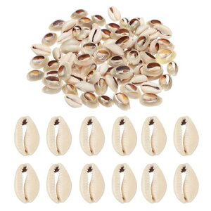 [PATIKIL] VRLk 100 ȉ~` FLk Ntgy_g I[vobÑz^eL̃r[Y t lbNX DIY Cm΍p O[