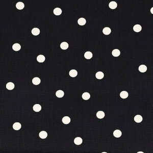 KIYOHARA 11 z n  100% 110cm×50cmJbg BK  TY5-50