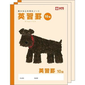 TNNpX wK pr 10i B5 Ē×S fUC ~j`AEViEU[ 3 NP95(3)