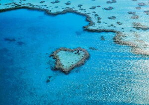 G|bN 108s[X WO\[pY COi O[gEoAE[t[I[XgA] (18.2×25.7cm) 01-058 ̂t wt _t EPOCH