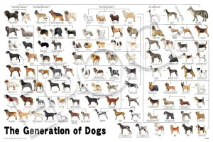 G|bNЁiEPOCHj 1000s[X WO\[pY /ybg  ̌n} i50×75cmj 12-625s ̂t wt _t