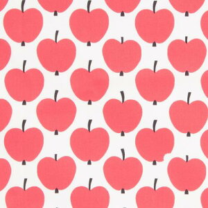 2mȏ1mPʃJbg KIYOHARA tBC\ IbNX n Ibv 110cm Col.P sN FINF-03