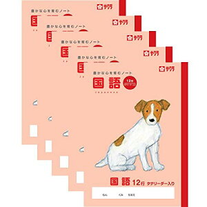 TNNpX TNwK  12s [_[ 5Zbg