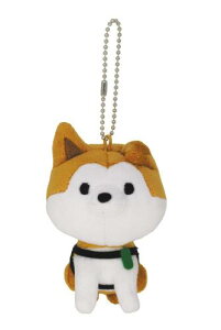 ZLO` SHIBUYA HACHI ʂ݃}XRbg 646043