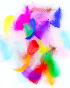 YFFSFDC HV[ tFU[V[ Jt VR ߉H |ޗ DIY ̃}J̉H  a p[e I o Hi200j