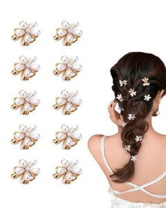 YFFSFDC ONbv ^̃wANbv ~j wANbv oXNbv   wAANZT[  fB[X  p[eB[ a 10Zbg