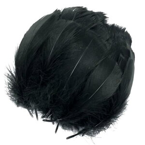 TRX HV[ tFU[V[ 200 H Ղ H Ղ |ޗ tFU[ DIY  Cxg EFfBO a p[eB[ o (ubN)
