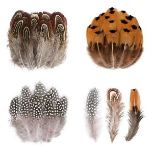 TRX HV[ t VR 150Zbg 3 H Ղ H V[ H tFU[ |ޗ  DIY Xq a  o Cxg EFfBO p[eB[ 