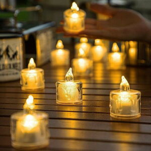 LEDLhCg 24  ܂ NX}X ̓ gF  ΂gȂ iCgCg   S lC ʐ^?e a ?O p[eB[ v|[Y