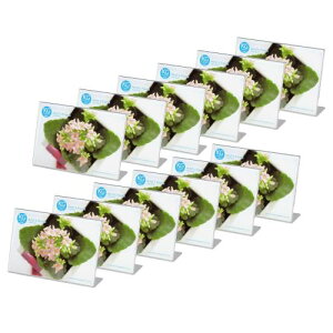 nNo HAKUBA tHgt[ ANLt[ nKL(KG)TCY R 12Zbg [܂ƂߔZbg] AMZFACL12-KGY ʐ^ POPt[ j[X^h