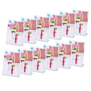 nNo HAKUBA tHgt[ ANLt[ 2LTCY ^e 12Zbg [܂ƂߔZbg] AMZFACL12-2LT ʐ^ POPt[ j[X^h