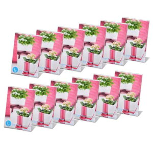 nNo HAKUBA tHgt[ ANLt[ LTCY ^e 12Zbg [܂ƂߔZbg] AMZFACL12-LT ʐ^ POPt[ j[X^h