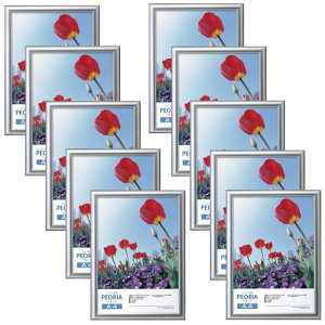 nNo HAKUBA A~z yIA A4TCY 10Zbg[܂ƂߔZbg] Vo[ |X^[t[ tHgt[ OPET ݂RtAMZFAPE-SV10A4