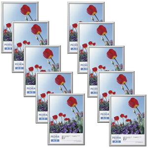 nNo HAKUBA A~z yIA A3TCY 10Zbg[܂ƂߔZbg] Vo[ |X^[t[ tHgt[ OPET ݂RtAMZFAPE-SV10A3