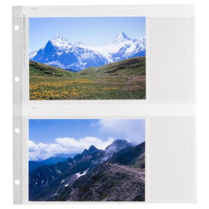 nNo (HAKUBA) Ao |[gAop֑䎆 [2LTCY 40[ (10V[g)] [|[gAo L/DX/Of(GRANDE) EL600pɑΉ֑̑䎆] 4oC_[ ARP-SS2L 4977187523768