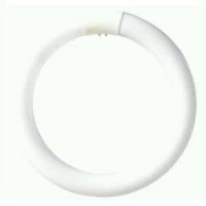 �p�i�\�j�b�N �u�����ی` 40�` �i�`�������F �p���b�N �v���~�A20000 FCL40ENW38MF2