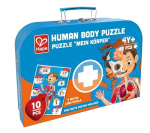 Hape(ny) 炾̂݃pY 100×50×2.3cm 3ˈȏ ؐ ܂܂  E1635