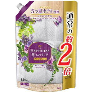 mA nslX ӂ^b` _ x_[K[f lߑւ 810 mL