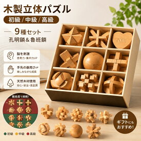 立体パズル 孔明パズル ブナ 木製 キューブ 子供 大人 9種セット 指先 暇つぶし 3D おもちゃ 脳トレ 立体 パズル ウッドパズル 玩具 組木 ブロック ストレス解消おもちゃセット 木製パズル ルバンロック 孔明鎖 魯班鎖