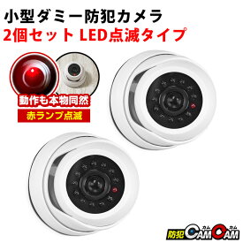 【クーポン利用で最大15％OFF】工事不要 ダミーカメラ 屋外用 ドーム型 2個セット 点滅LED付き 防犯カメラ型 ダミー防犯カメラ ダミーセキュリティ カメラ 防水仕様 ネジ付属 簡単設置 防犯カムカム