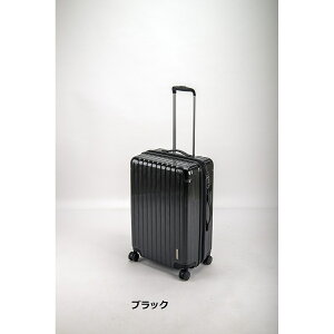 CAPTAIN STAG ( LveX^bO ) peB[ X[cP[X ( TSAbNtWF^Cv ) MTCY