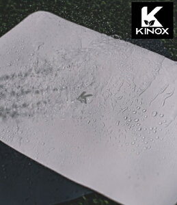 KINOX ( LmbNX ) \tge[u}bg ؍ \tg e[u}bg AEghA Lv h