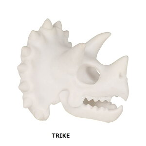 DULTON ( _g ) SKELETON HEAD XPg wbh | IuWF | Klz_[ | Klu |  | `[t | IV | NB-0859 | NB-0860 | Ƃ |  | XPg