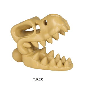 DULTON ( _g ) SKELETON HEAD XPg wbh | IuWF | Klz_[ | Klu |  | `[t | IV | NB-0859 | NB-0860 | Ƃ |  | XPg