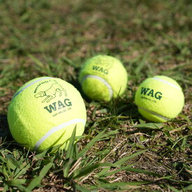 DULTON ( ダルトン ) TENNIS BALL テニスボール | 犬 | 愛犬 | おもちゃ | ボール | ストレス発散 | 遊び | 犬用テニスボール | 小型犬 | 中型犬 | 大型犬 | 丈夫 | 耐久性 | ドッグラン | お散歩 | 公園 | お出かけ | アクティブ | ペット用品