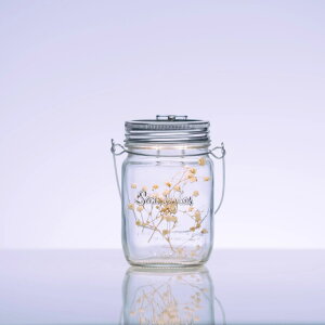 SONNENGLAS ( \lOX ) ~j Generation 6 | \[[^ | LED^ | IV | r^ | ₳ |  | v[g | Mtg | h | CeA | Œ120 | ^ | M2G | 